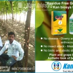 Kan biosys | organic fertilizers | boost up yield‎