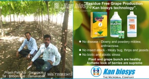 Kan biosys | organic fertilizers | boost up yield‎