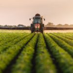 Pesticides and fertilizers manufacturing Industry in Bathinda,Jai agro, United Chemicals, Panchkula