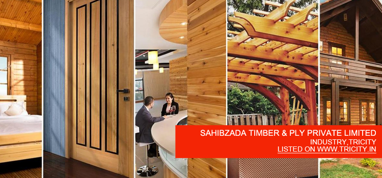 Promote Business with Video or Company Profile Video